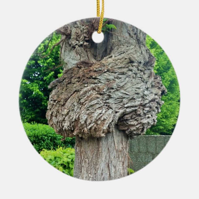 Knot on Tree Trunk, Knar, Nature Green Keramik Ornament (Vorne)
