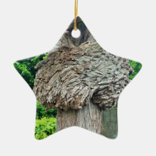 Knot on Tree Trunk, Knar, Nature Green Keramikornament