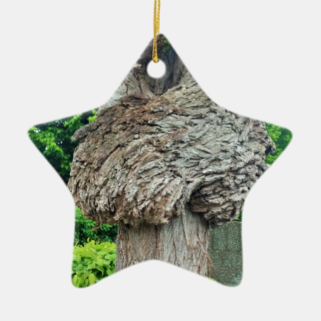 Knot on Tree Trunk, Knar, Nature Green Keramikornament (Vorne)