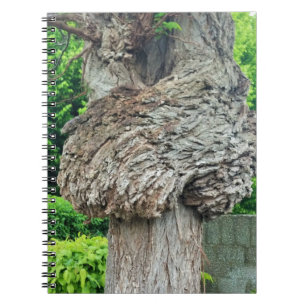 Knot on Tree Trunk, Knar, Nature Green Notizblock