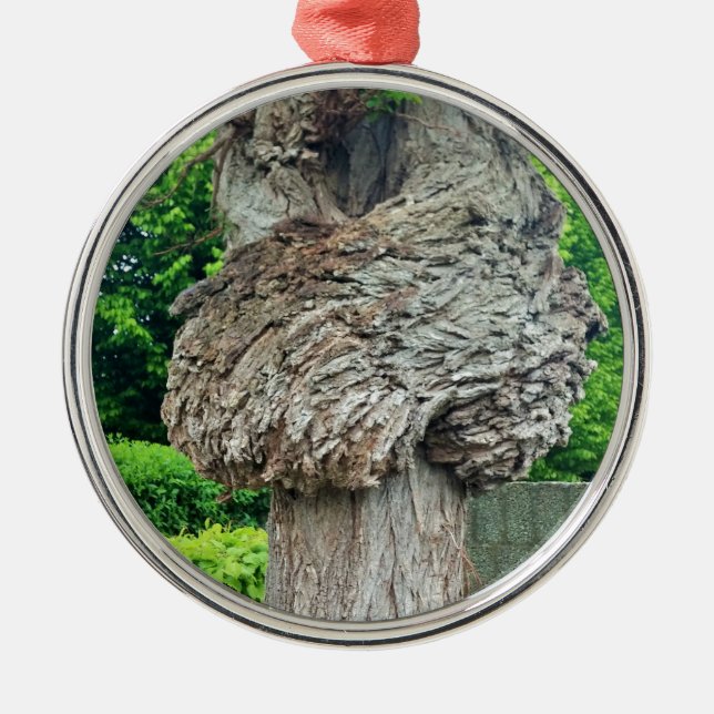 Knot on Tree Trunk, Knar, Nature Green Ornament Aus Metall (Vorne)