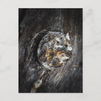 Knoten im Holz Postkarte