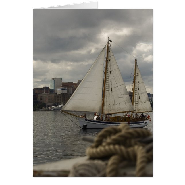 Knotensegeln (Vorne)