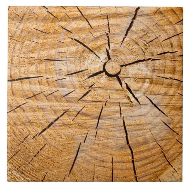 Knotty Wood Slice of Life Fliese (Vorderseite)