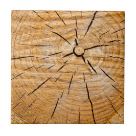 Knotty Wood Slice of Life Fliese