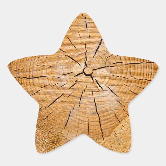 Knotty Wood Slice of Life Stern-Aufkleber (Vorderseite)
