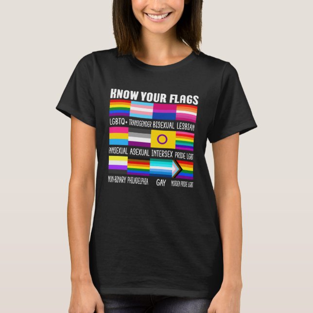 Know Your Flags LGBTQ+ Gay Pride Flag Transgender  T-Shirt (Vorderseite)