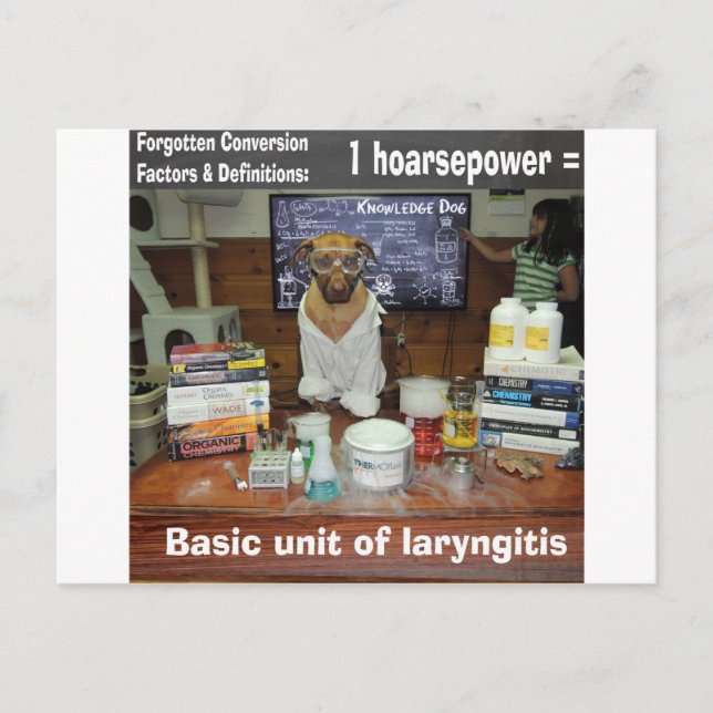 Knowledge Dog Vergessene Konvertierungen Hoarsepow Postkarte (Vorderseite)