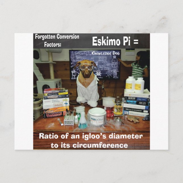 Knowledge Dog Vergessene Umleitungen Eskimo Pi Postkarte (Vorderseite)