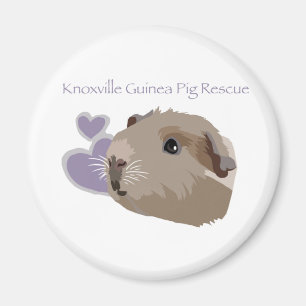 Knoxville-Meerschweinchen-Rettungs-Magnet Magnet