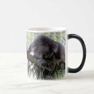 Knuddeliger Koala Verwandlungstasse