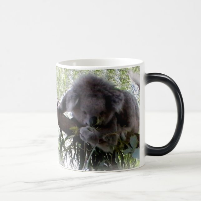 Knuddeliger Koala Verwandlungstasse (Rechts)