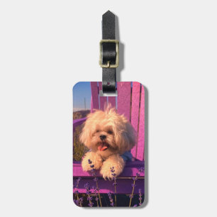 Knuddiger Shih Tzu Welpe lächelt, Hund in violette Gepäckanhänger