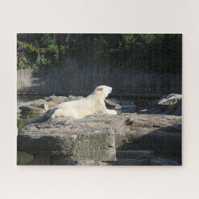 Knut der Polarbär aus dem Berliner Zoo Puzzle (Horizontal)