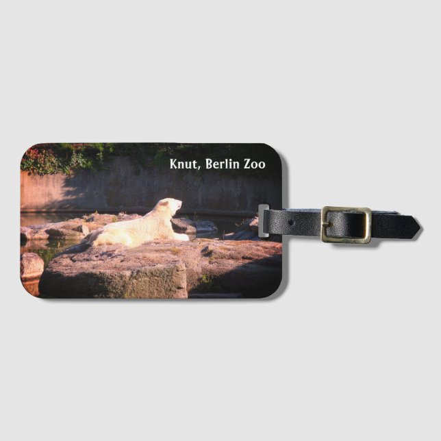 Knut der Polarbär vom Berliner Zoo Einstein Gepäckanhänger (Vorderseite (Horizontal))