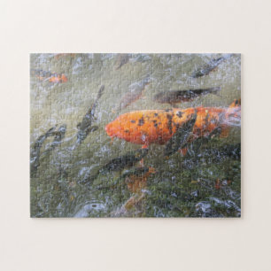 Koa-Teich Puzzle