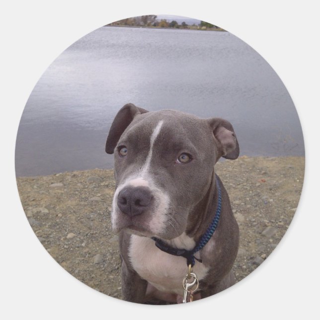 Koa Vasona Park Runder Aufkleber (Vorderseite)