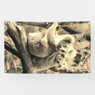 KOAHLA BAR UND CUB Banner MIT BAUMMETEN