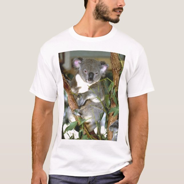 koala2 T-Shirt (Vorderseite)
