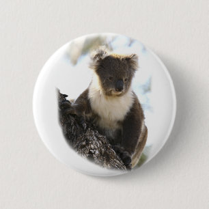 Koala 2 button