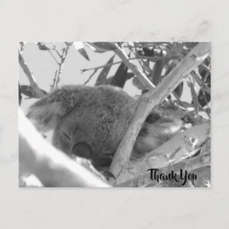 Koala asleep, Schwarz-Weiß-Foto, Australien Postkarte