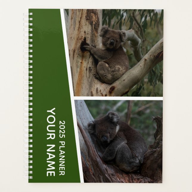 Koala Australia Foto Collage, Green 2025 Planer (Vorderseite)