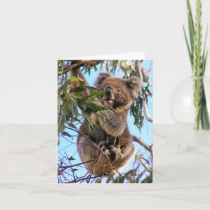 Koala Australia Greeting Card  Karte