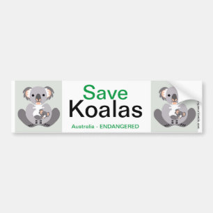 Koala - Autoaufkleber
