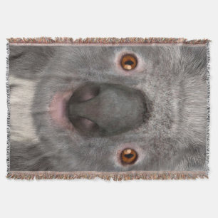 Koala Bär Decke