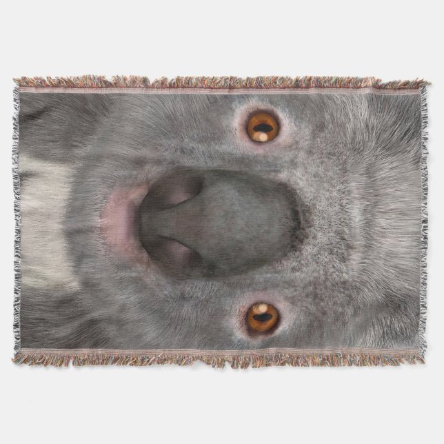 Koala Bär Decke (Vorderseite)