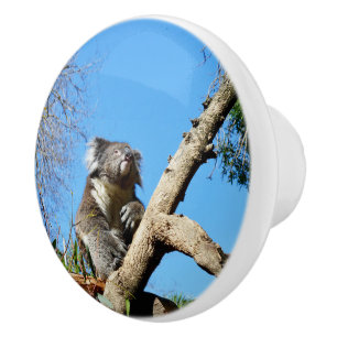 Koala Bär die Bedeutung des Lebens, Keramikknauf
