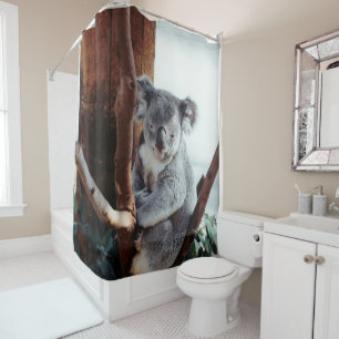 Koala-Bär Duschvorhang