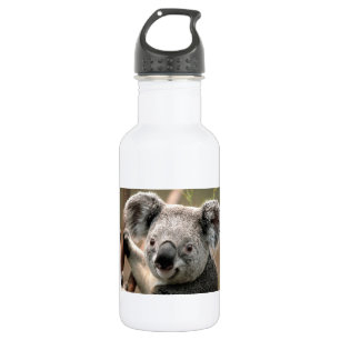 Koala-Bär Edelstahlflasche