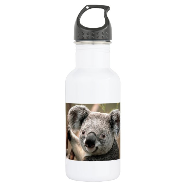 Koala-Bär Edelstahlflasche (Vorderseite)
