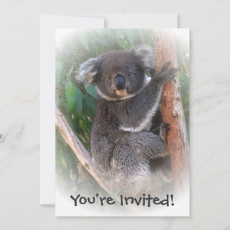 Koala-Bär entwirft jeden Augenblick Einladung