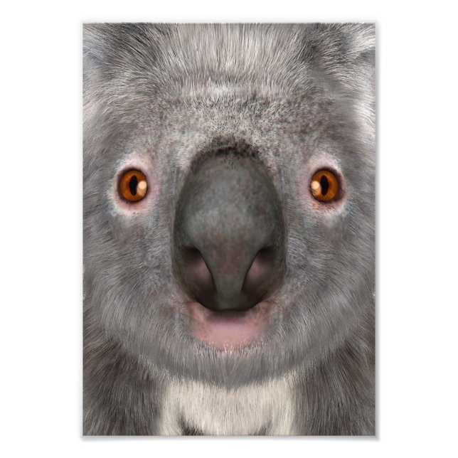 Koala Bär Fotodruck (Vorne)