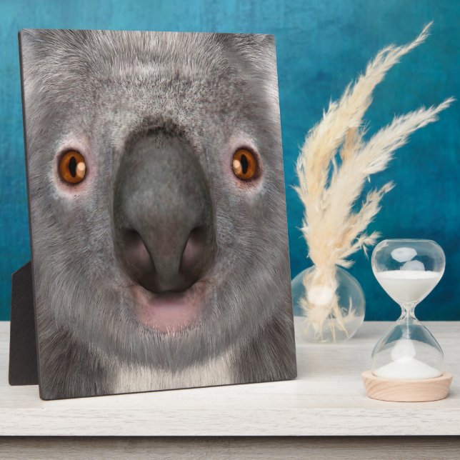 Koala Bär Fotoplatte (Seite)