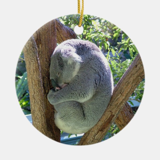 Koala-Bär Keramik Ornament (Vorne)