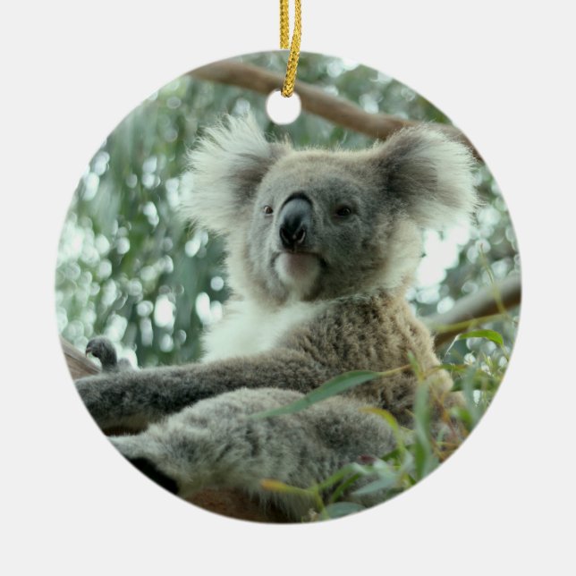 Koala-Bär Keramikornament (Vorne)