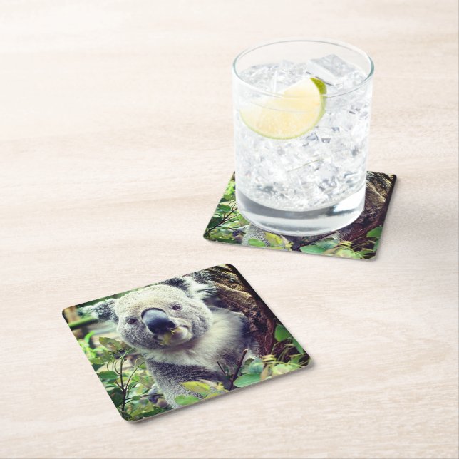Koala-Bär Rechteckiger Pappuntersetzer (Vor Ort)