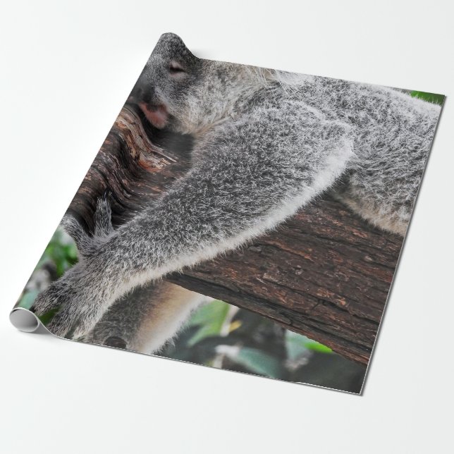 KOALA-BÄR SCHLÄFT AUF EINEM BAUM GESCHENKPAPIER (Ungerollt)