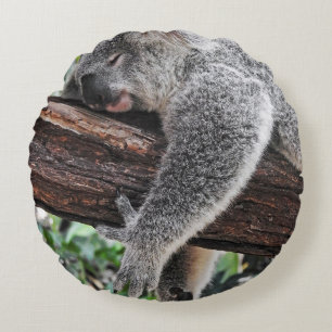 KOALA-BÄR SCHLÄFT AUF EINEM BAUM RUNDES KISSEN