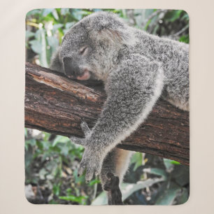 KOALA-BÄR SCHLÄFT AUF EINEM BAUM SHERPADECKE