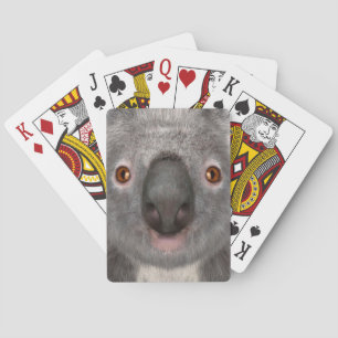 Koala Bär Spielkarten