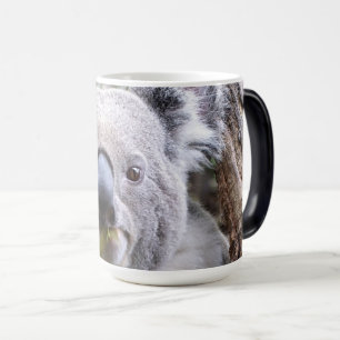 Koala-Bär Verwandlungstasse