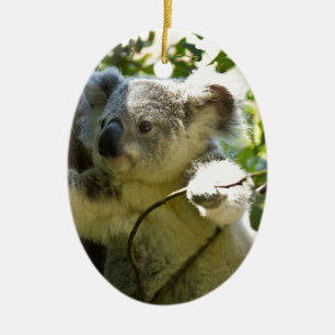 Koala-Bären Aussi Hinterland-Schicksals-Natur Keramik Ornament