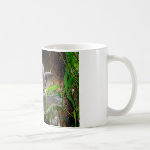 Koala-Bären Aussi Hinterland-Schicksals-Natur Tasse