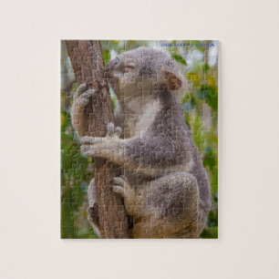 Koala Bären Australien Puzzle