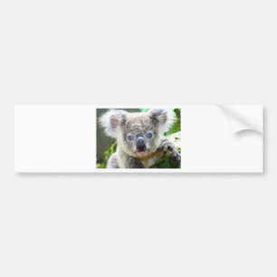 Koala Bären Autoaufkleber