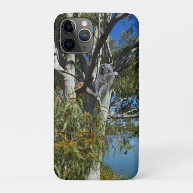 Koala-Bären, die in Gummi-Baum schlafen, Case-Mate iPhone Hülle (Rückseite)